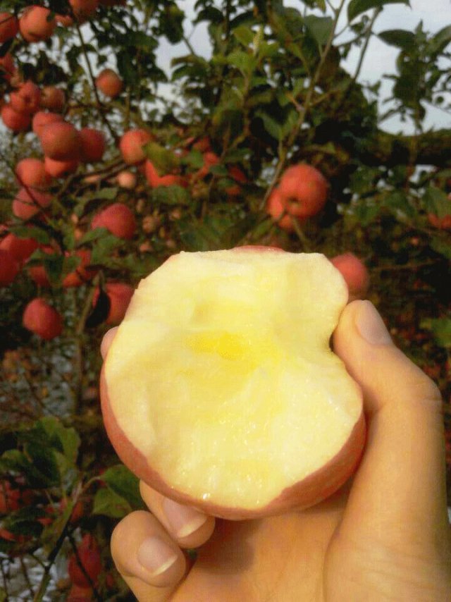 浮躁的世界，我們卻在靜心栽培企業宣傳片