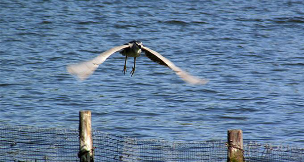 企業(yè)宣傳片拍攝剪輯如何進(jìn)行完美的鏡頭切換？